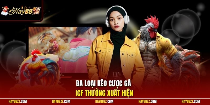 Ba loại kèo cược gà ICF thường xuất hiện