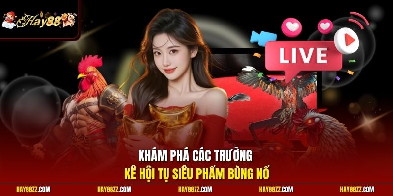 Khám phá các trường kê hội tụ siêu phẩm bùng nổ