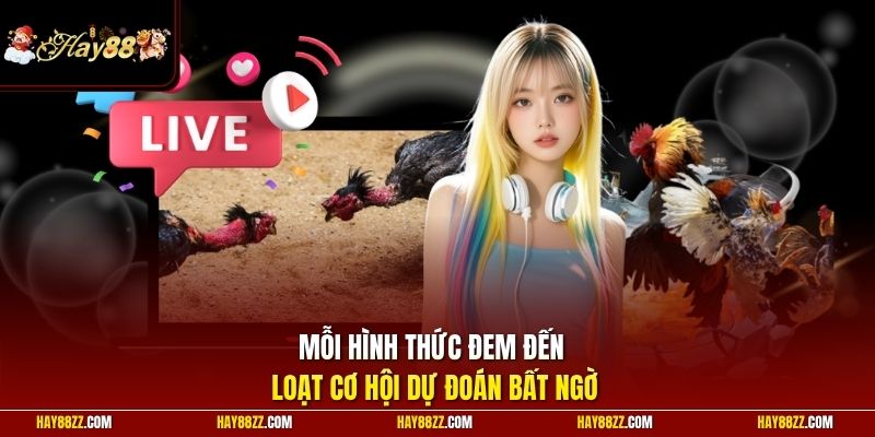 Mỗi hình thức đem đến loạt cơ hội dự đoán bất ngờ