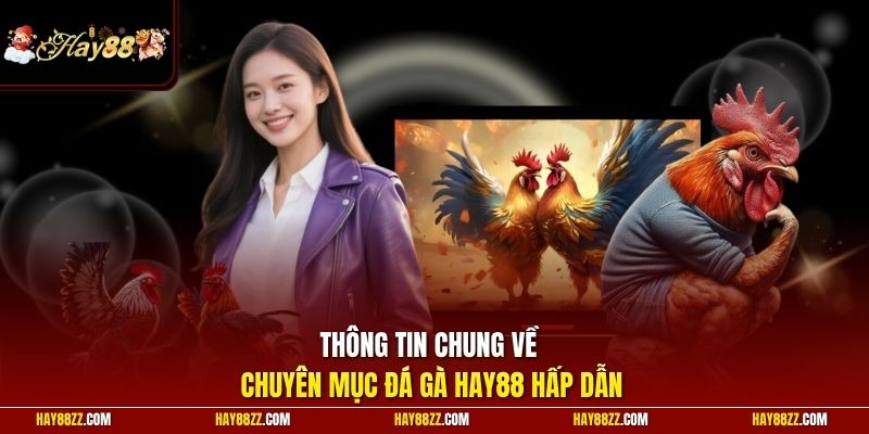 Thông tin chung về chuyên mục đá gà HAY88 hấp dẫn