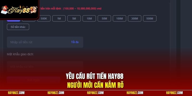 Yêu cầu rút tiền HAY88 người mới cần nắm rõ